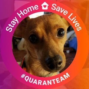 Meet your Posher, Carol